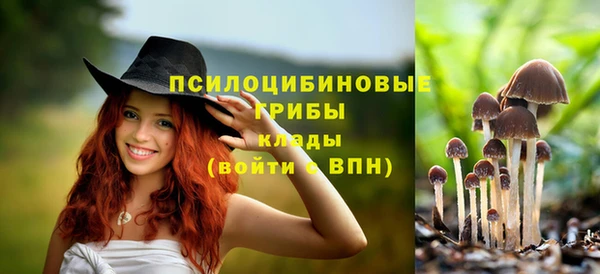 PSILOCYBIN Алексеевка