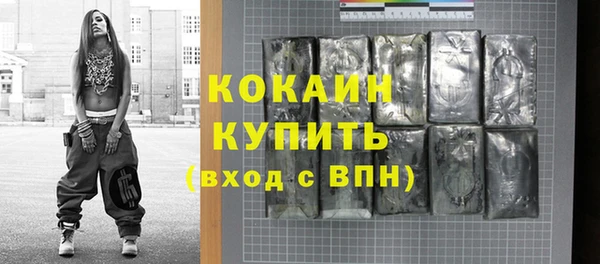 дживик Алексин