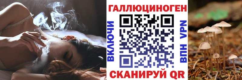 Псилоцибиновые грибы Magic Shrooms  ОМГ ОМГ   Евпатория  цены  